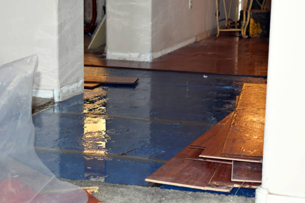Professional Basement Water Removal technician working in Riesel, TX