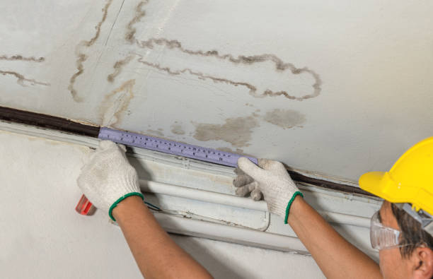 Reliable Basement Water Removal contractor in Riesel, TX by Water Damage Irwin